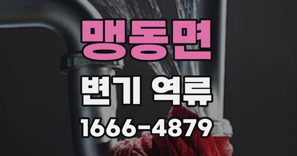 맹동면 변기 역류