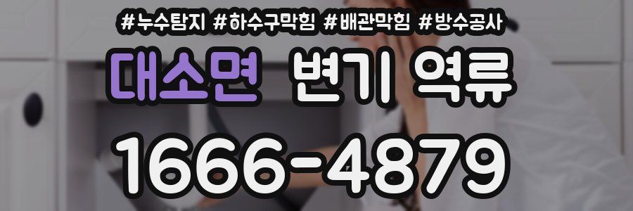 대소면 변기 역류