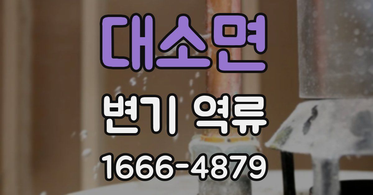 대소면 변기 역류