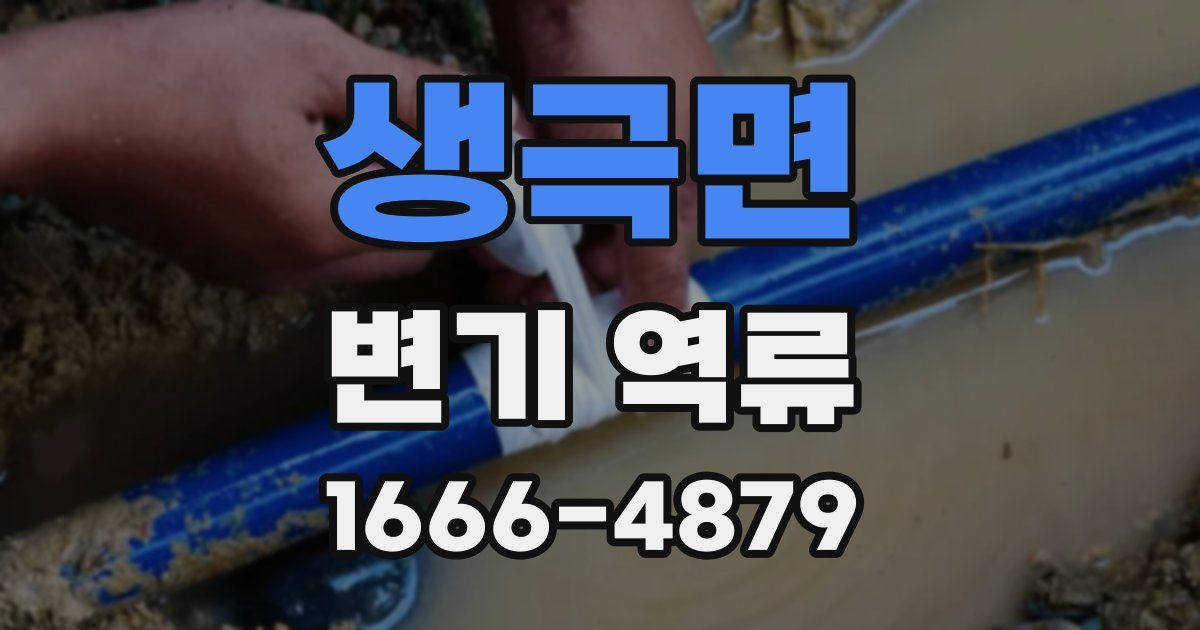 생극면 변기 역류