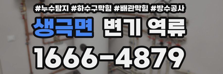 생극면 변기 역류