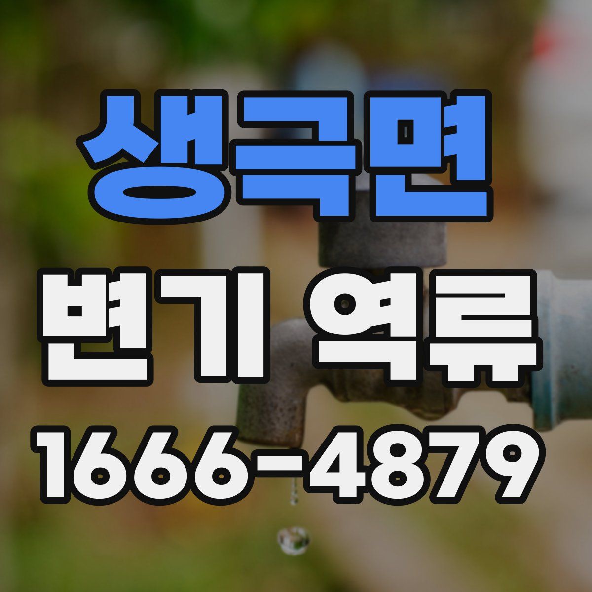 생극면 변기 역류
