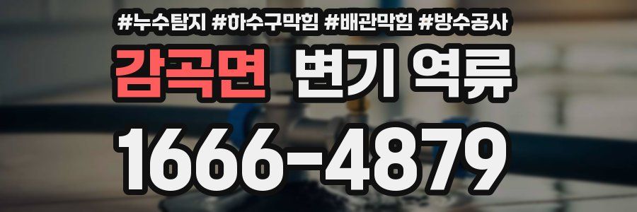 감곡면 변기 역류