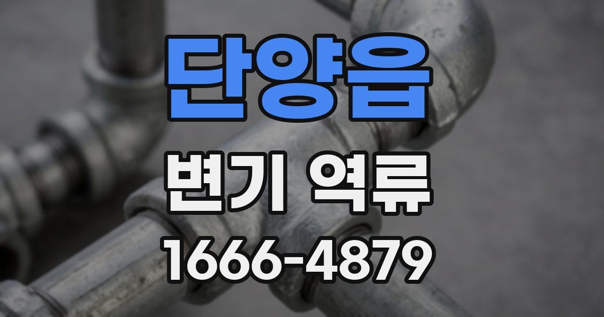 단양읍 변기 역류