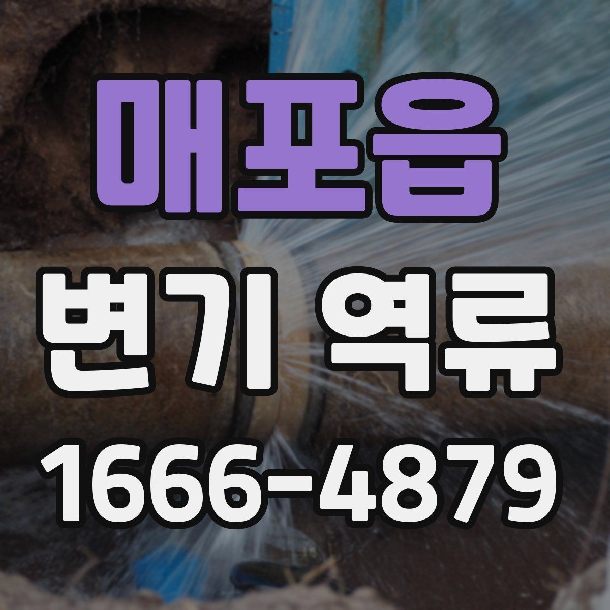 매포읍 변기 역류 막힘이 아닌데도 물이 올라오는 이유