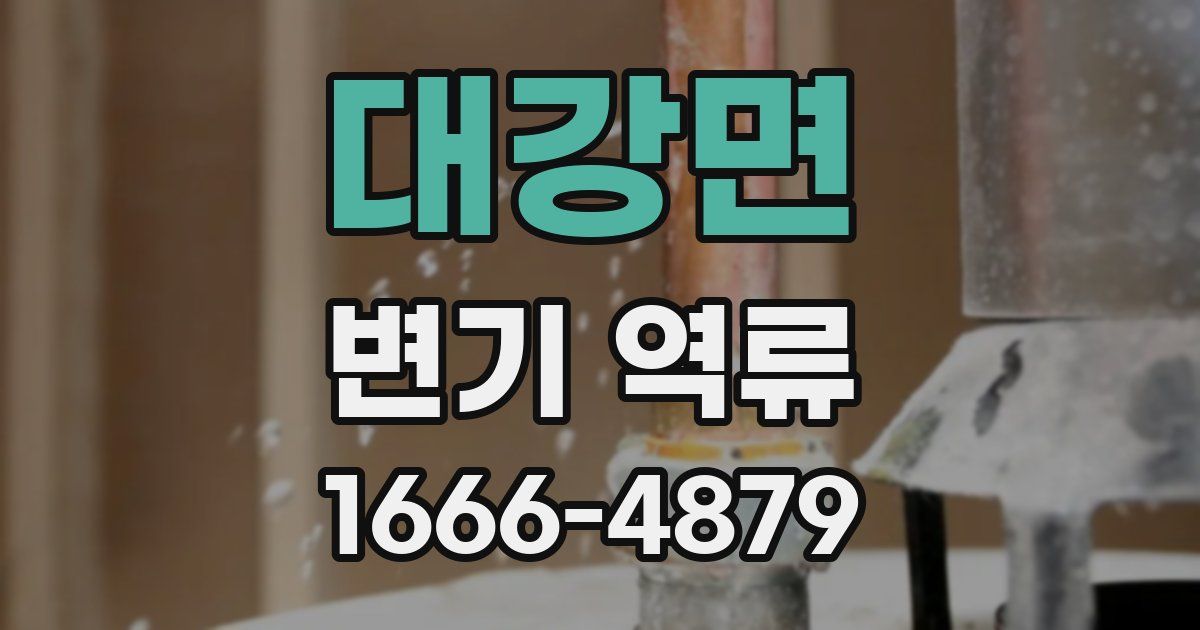 대강면 변기 역류