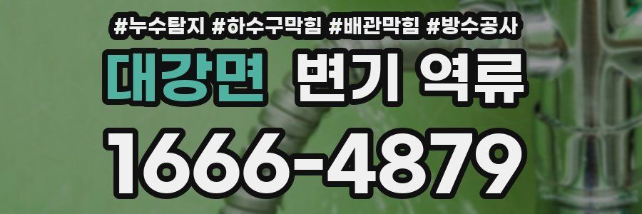 대강면 변기 역류