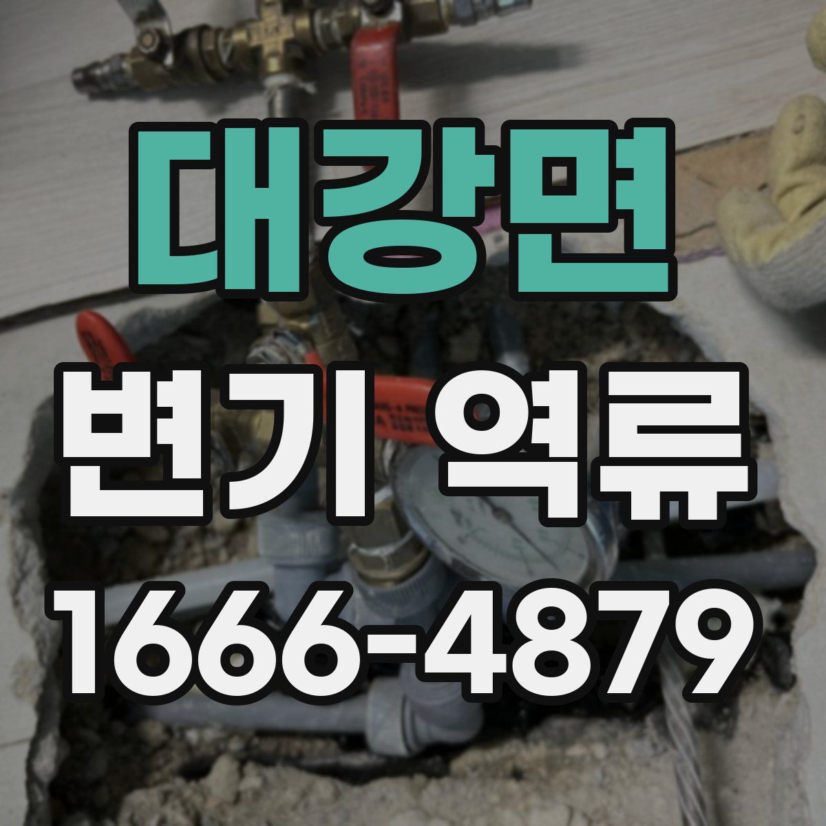 대강면 변기 역류