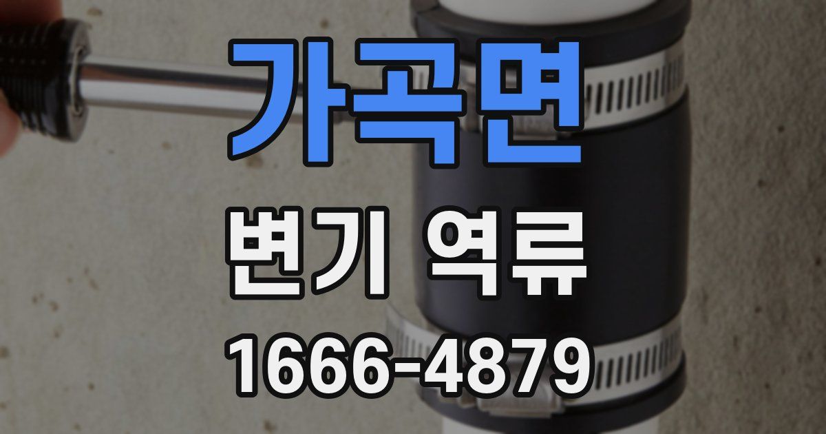 가곡면 변기 역류