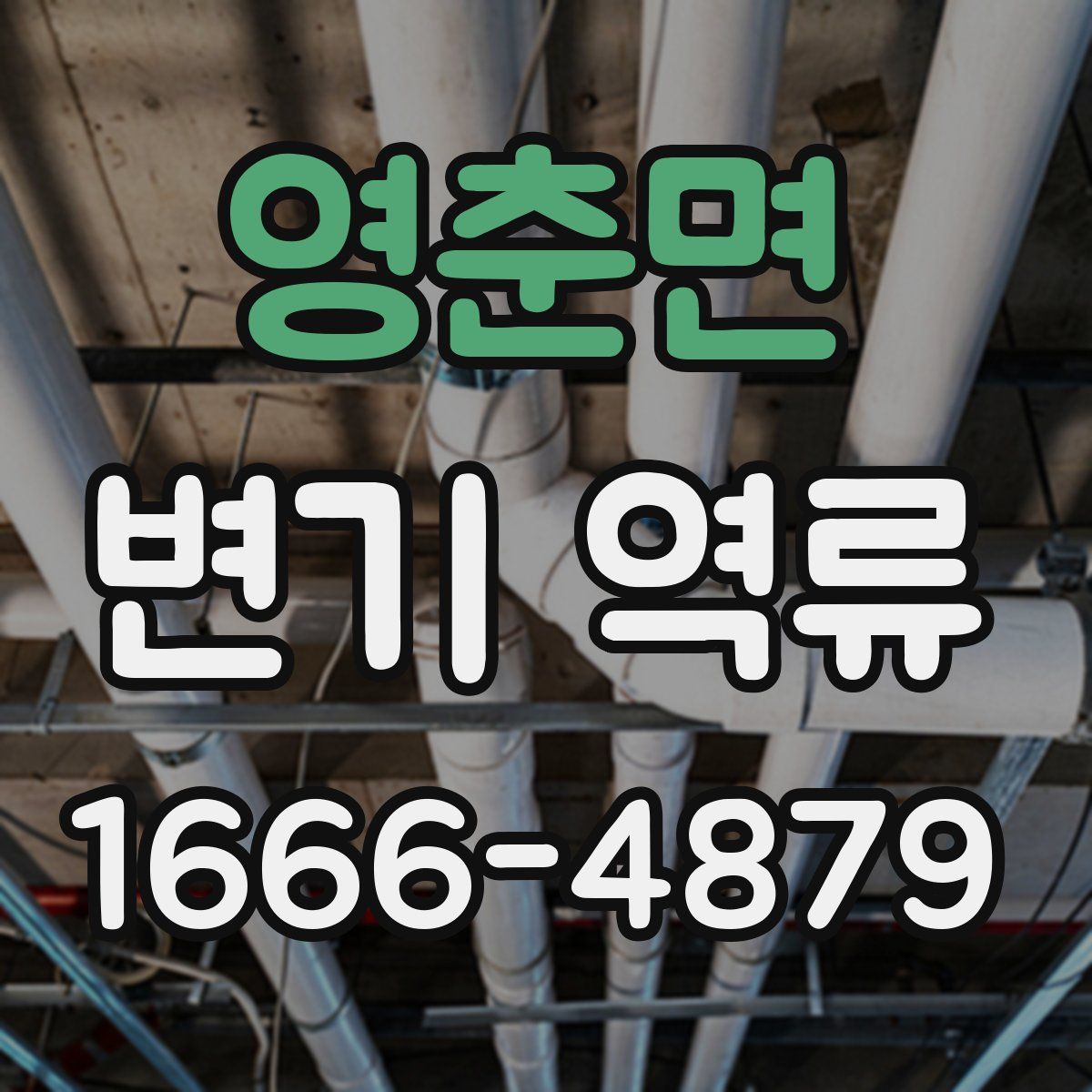 영춘면 변기 역류