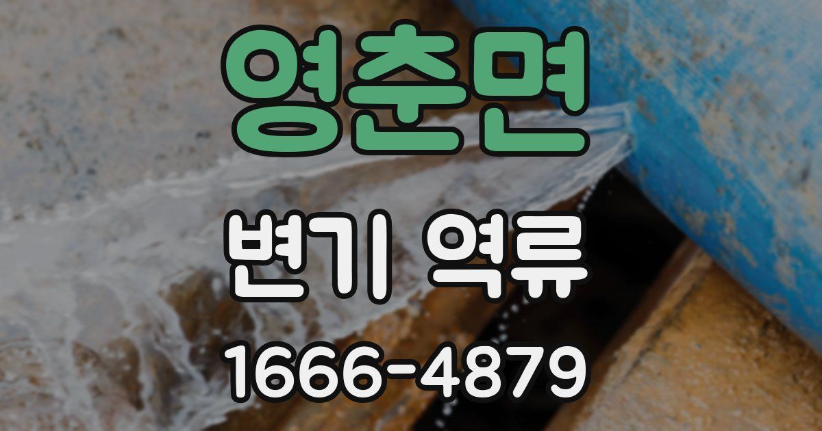 영춘면 변기 역류