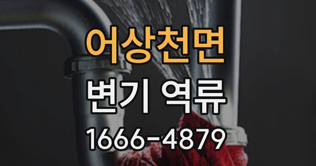 어상천면 변기 역류
