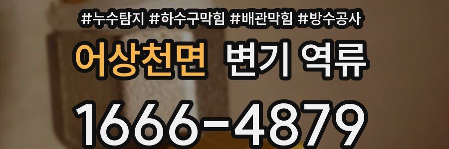 어상천면 변기 역류