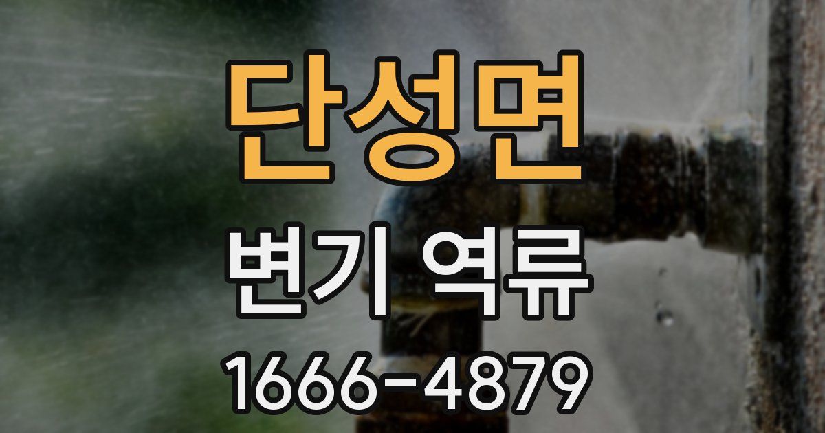 단성면 변기 역류