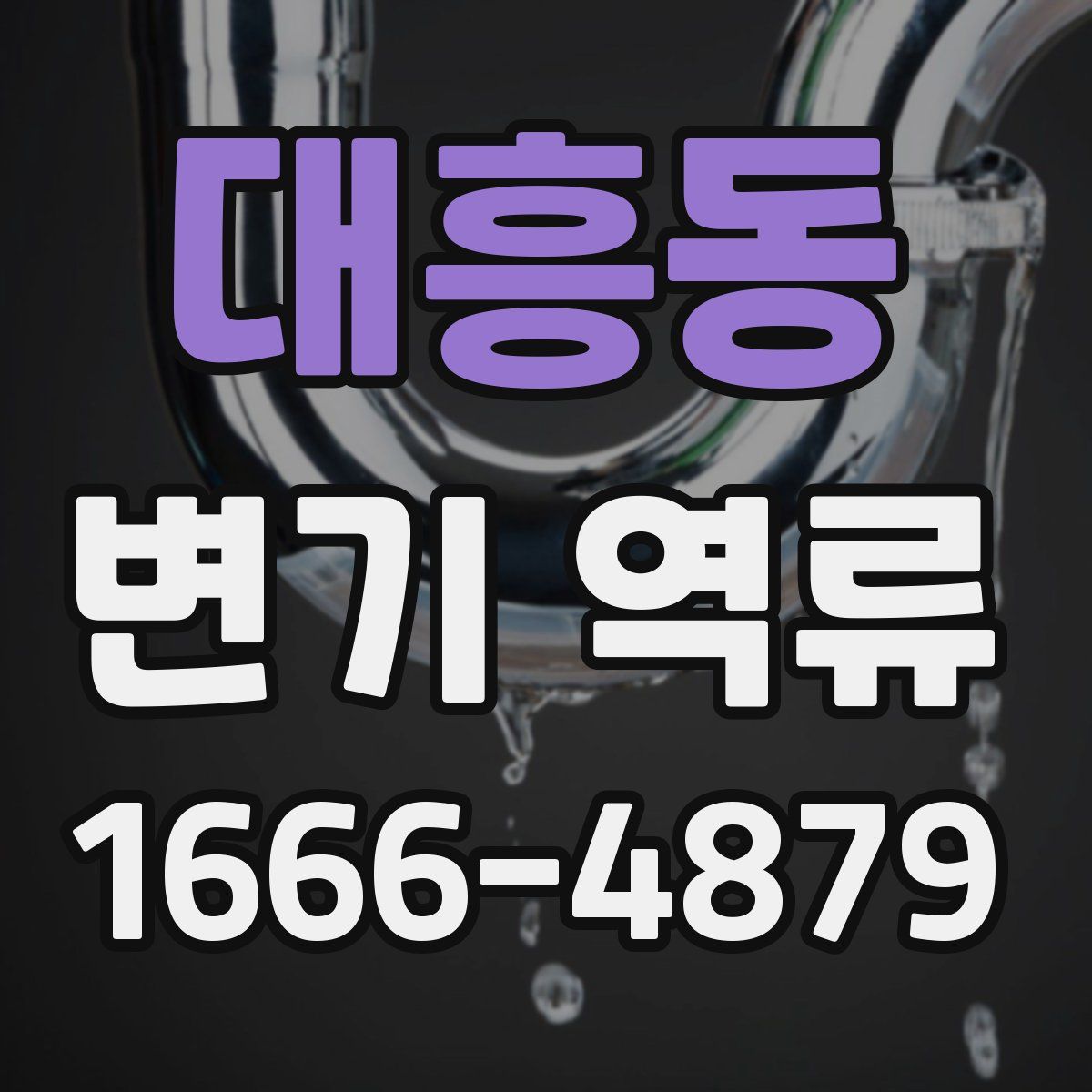 대흥동 변기 역류
