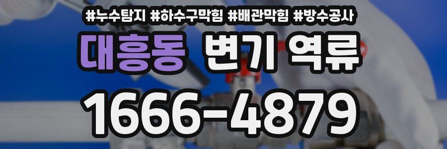 대흥동 변기 역류