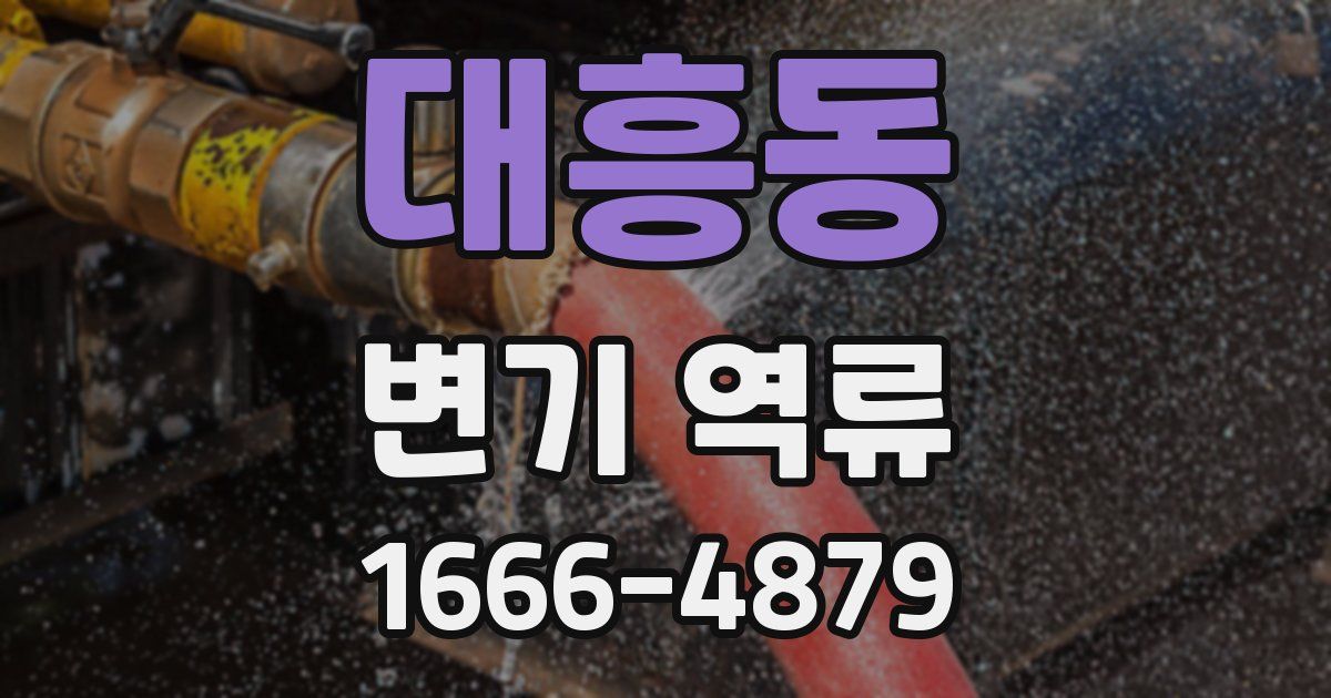 대흥동 변기 역류