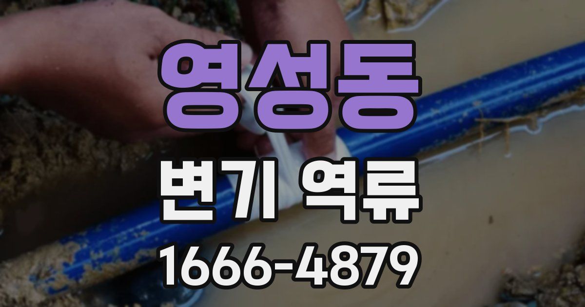 영성동 변기 역류