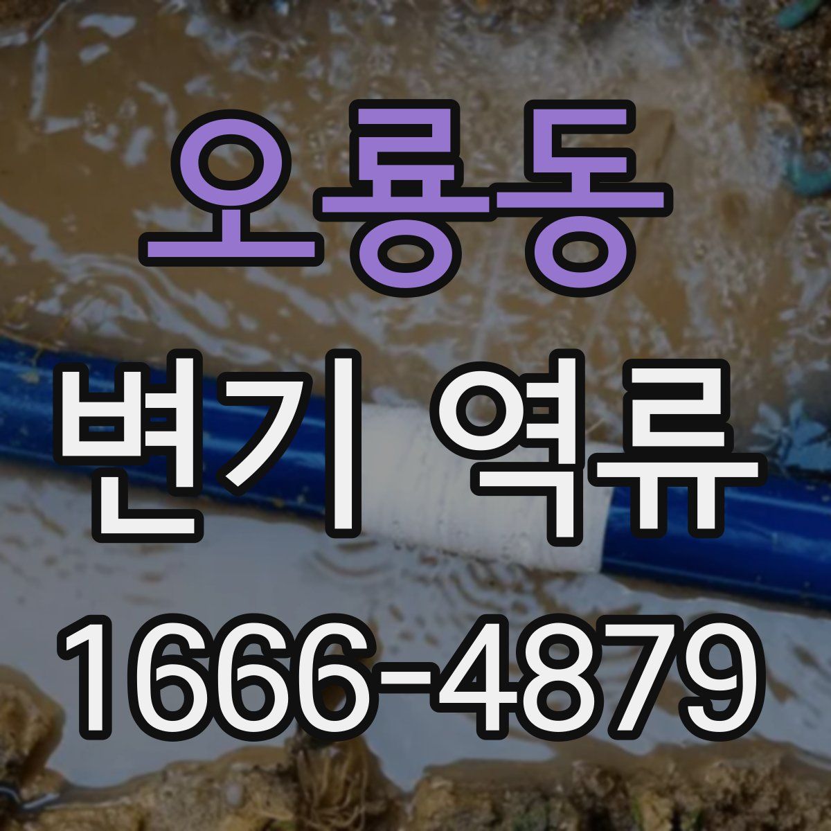 오룡동 변기 역류