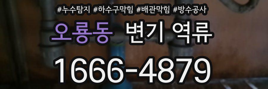 오룡동 변기 역류