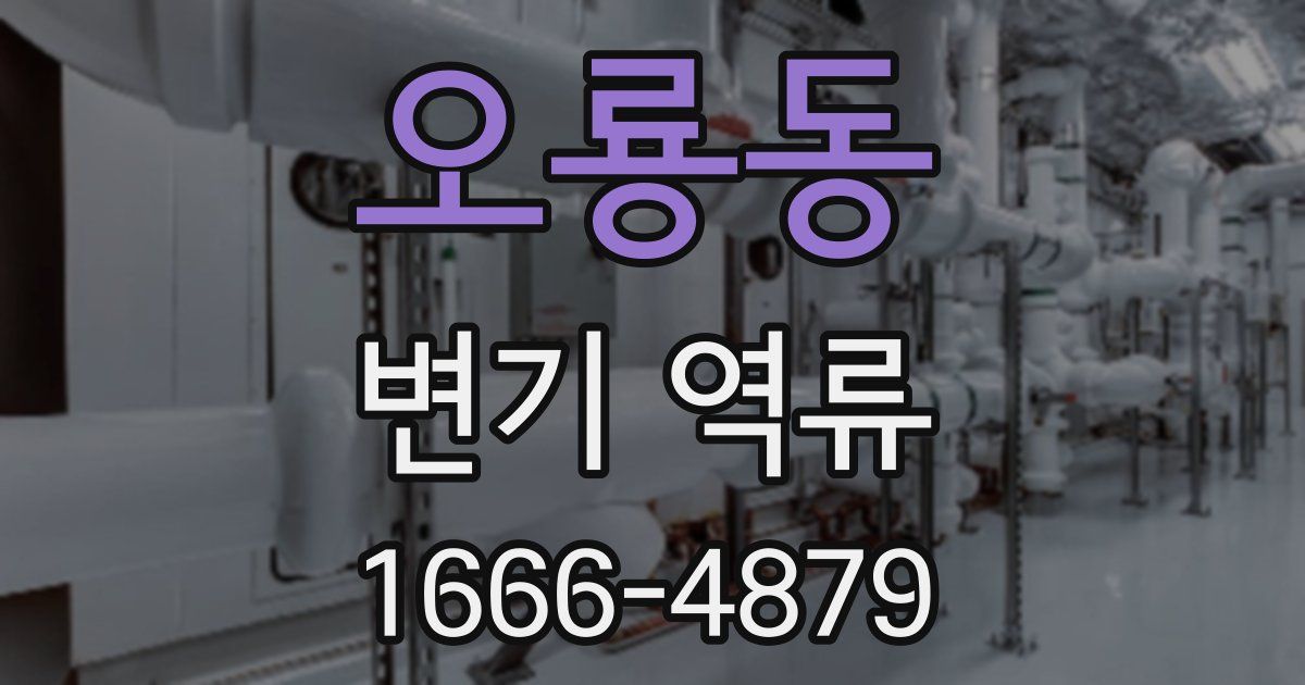 오룡동 변기 역류