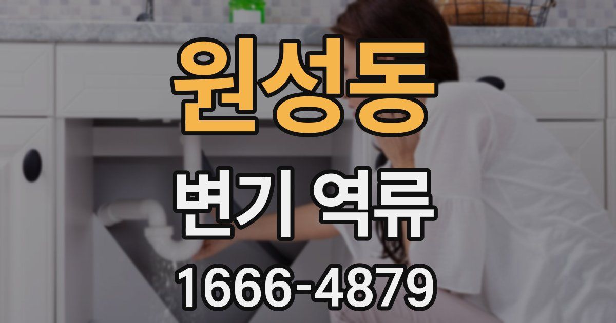 원성동 변기 역류