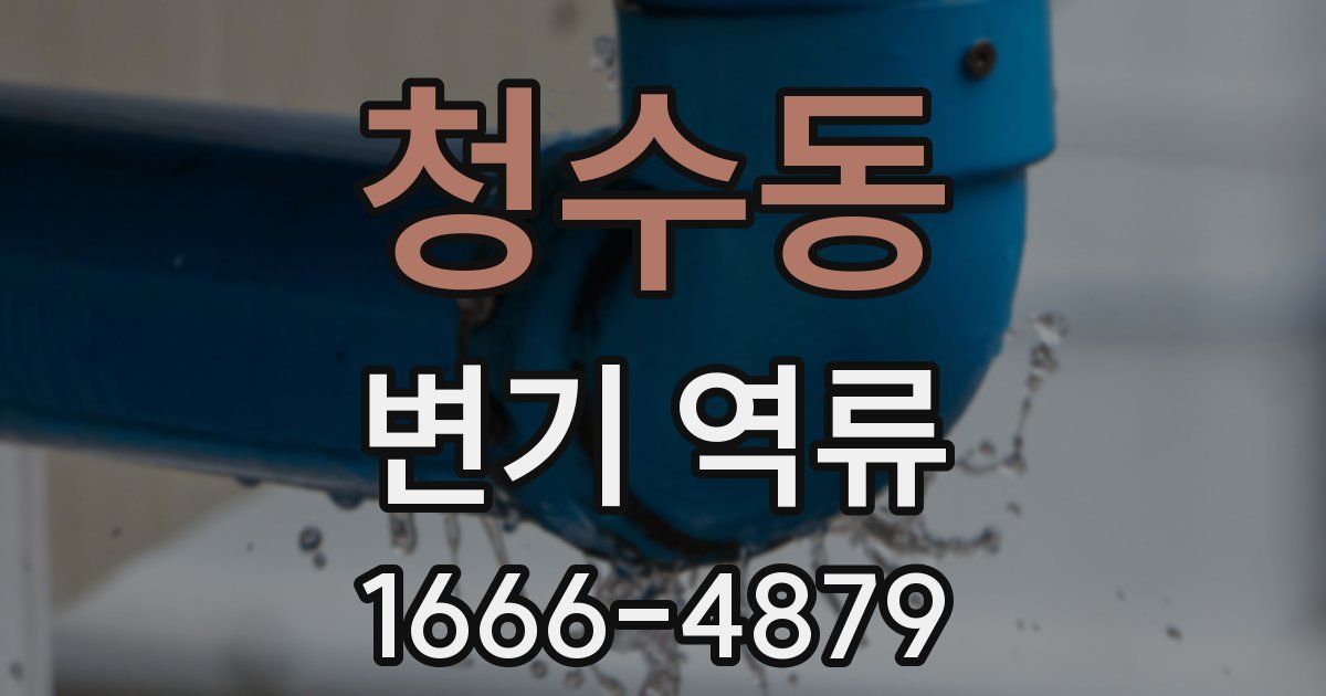 청수동 변기 역류