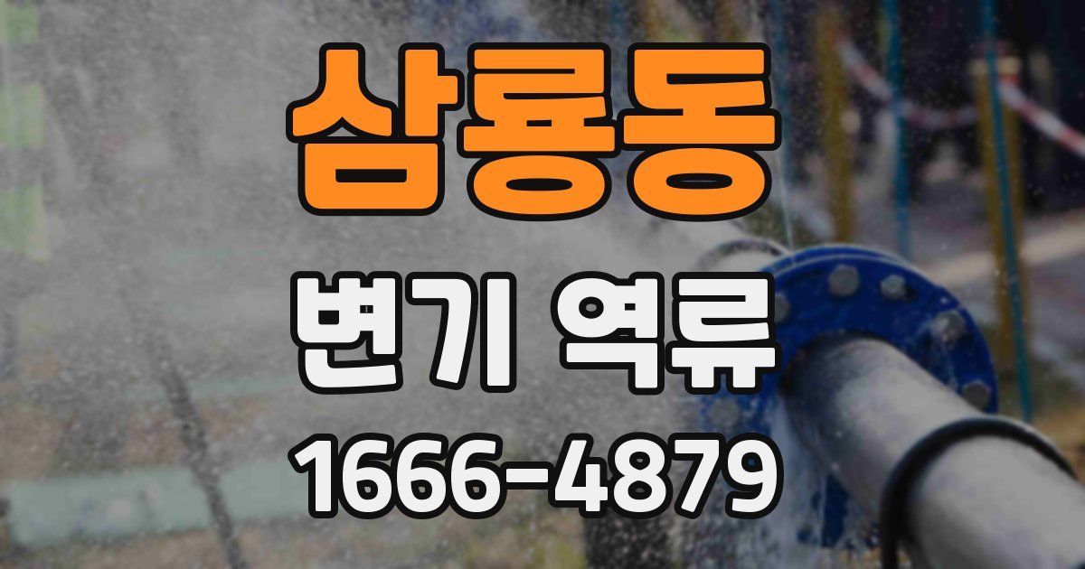 삼룡동 변기 역류