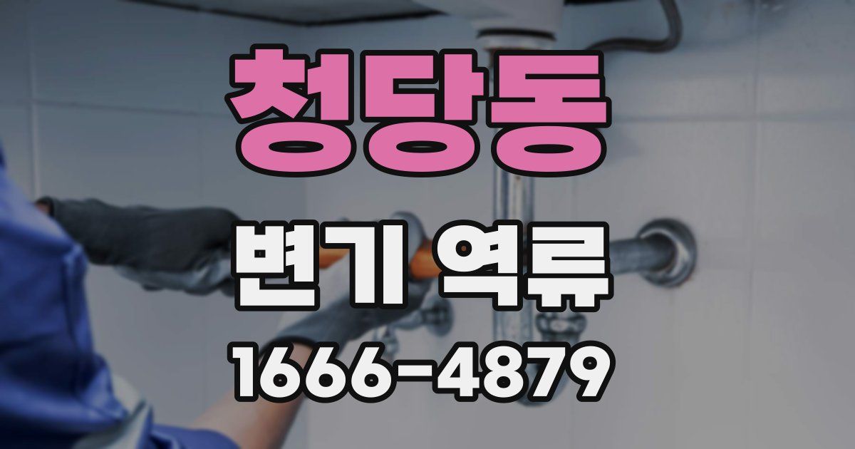 청당동 변기 역류