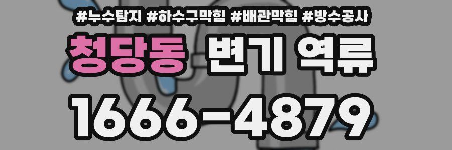 청당동 변기 역류