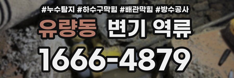 유량동 변기 역류