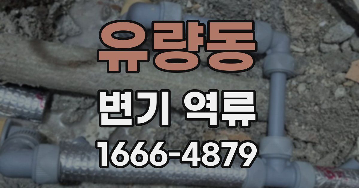 유량동 변기 역류