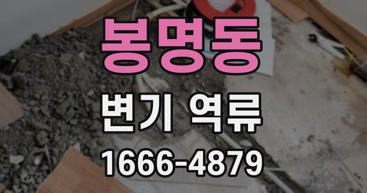 봉명동 변기 역류