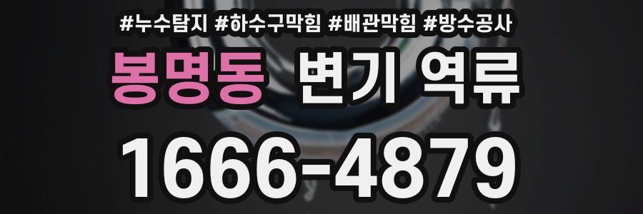 봉명동 변기 역류