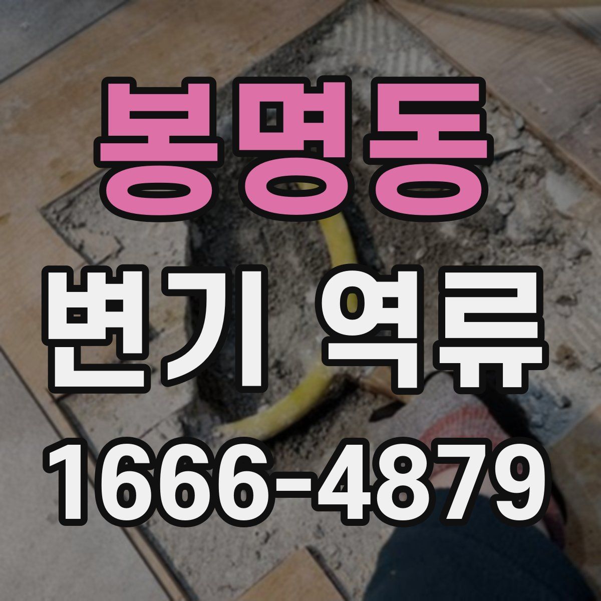 봉명동 변기 역류