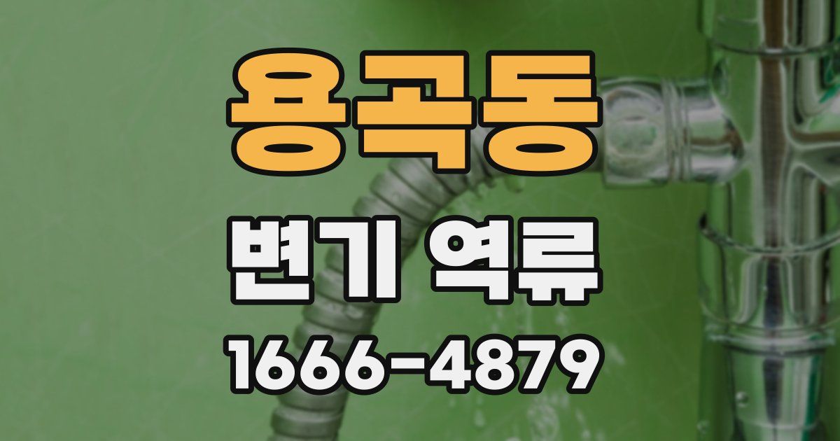 용곡동 변기 역류
