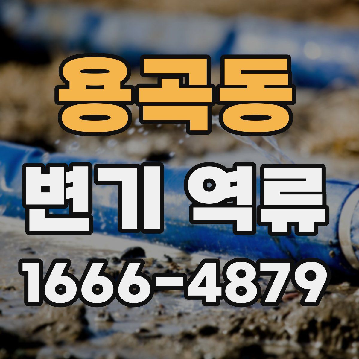 용곡동 변기 역류