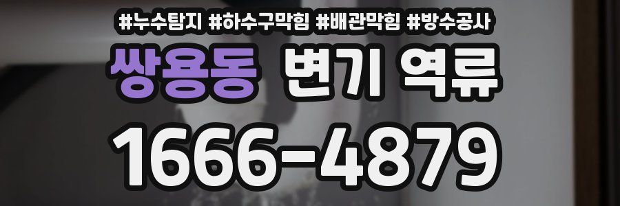 쌍용동 변기 역류