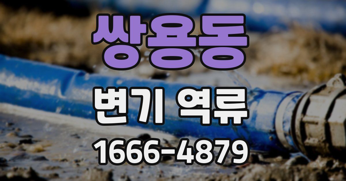 쌍용동 변기 역류