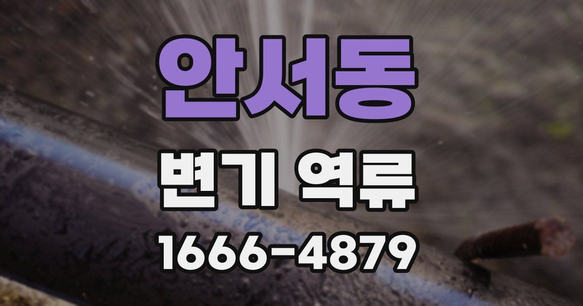 안서동 변기 역류