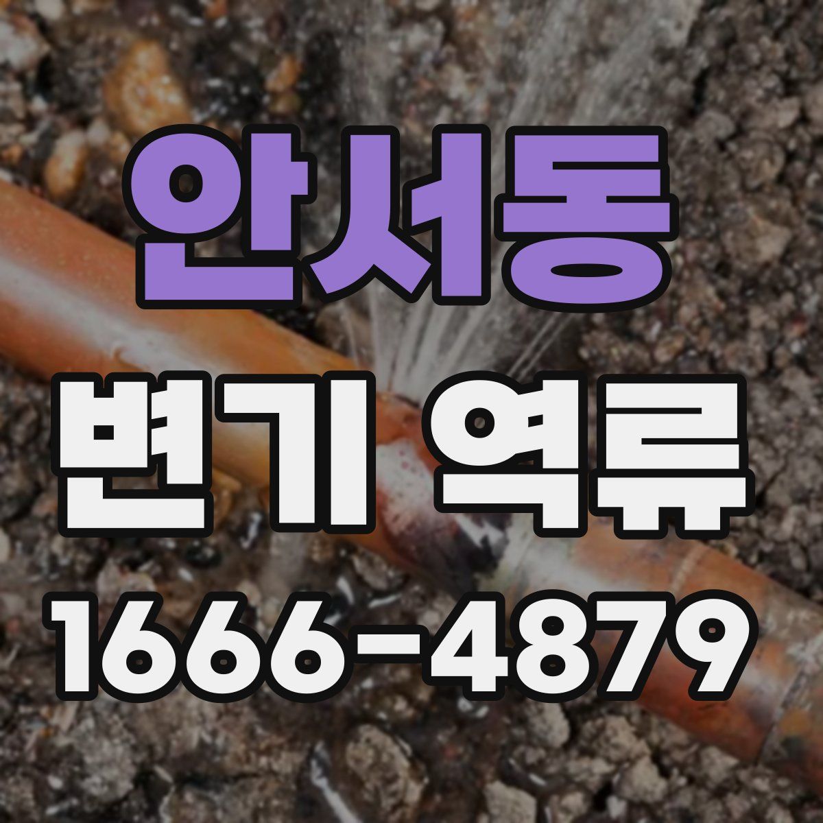 안서동 변기 역류