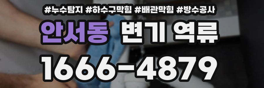 안서동 변기 역류