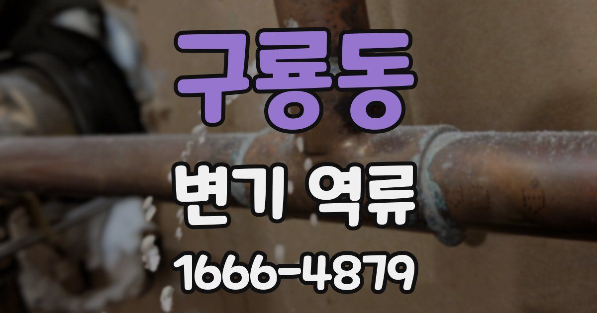 구룡동 변기 역류