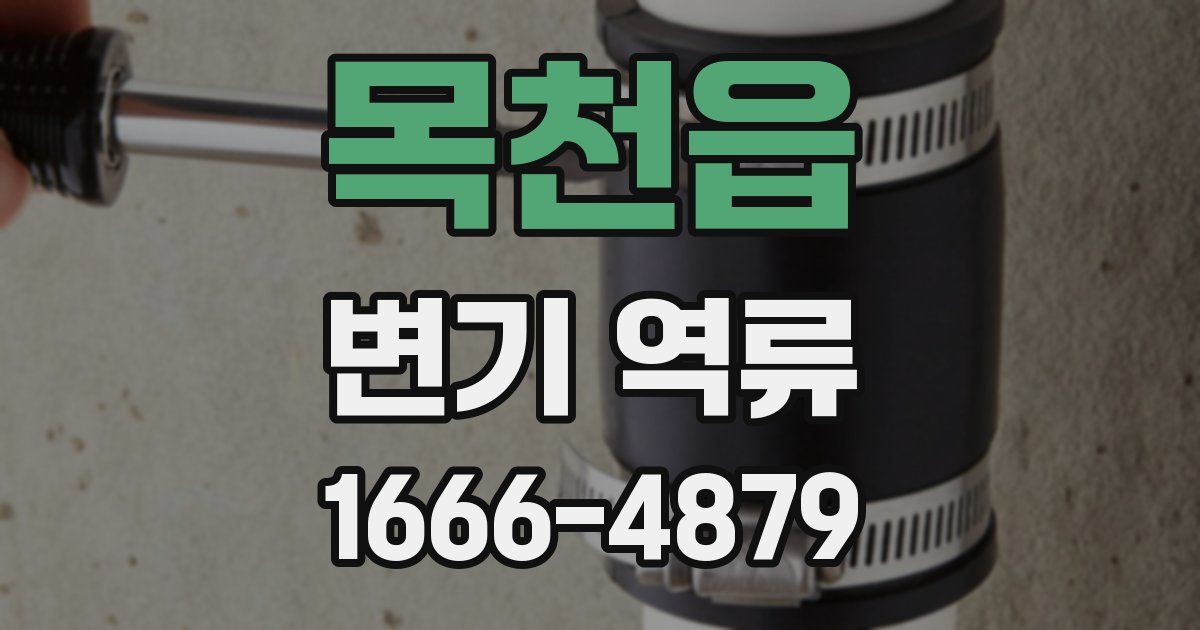 목천읍 변기 역류