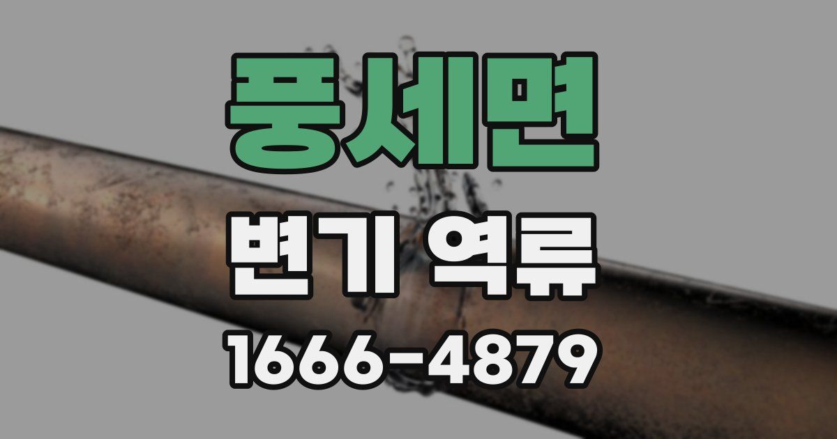 풍세면 변기 역류