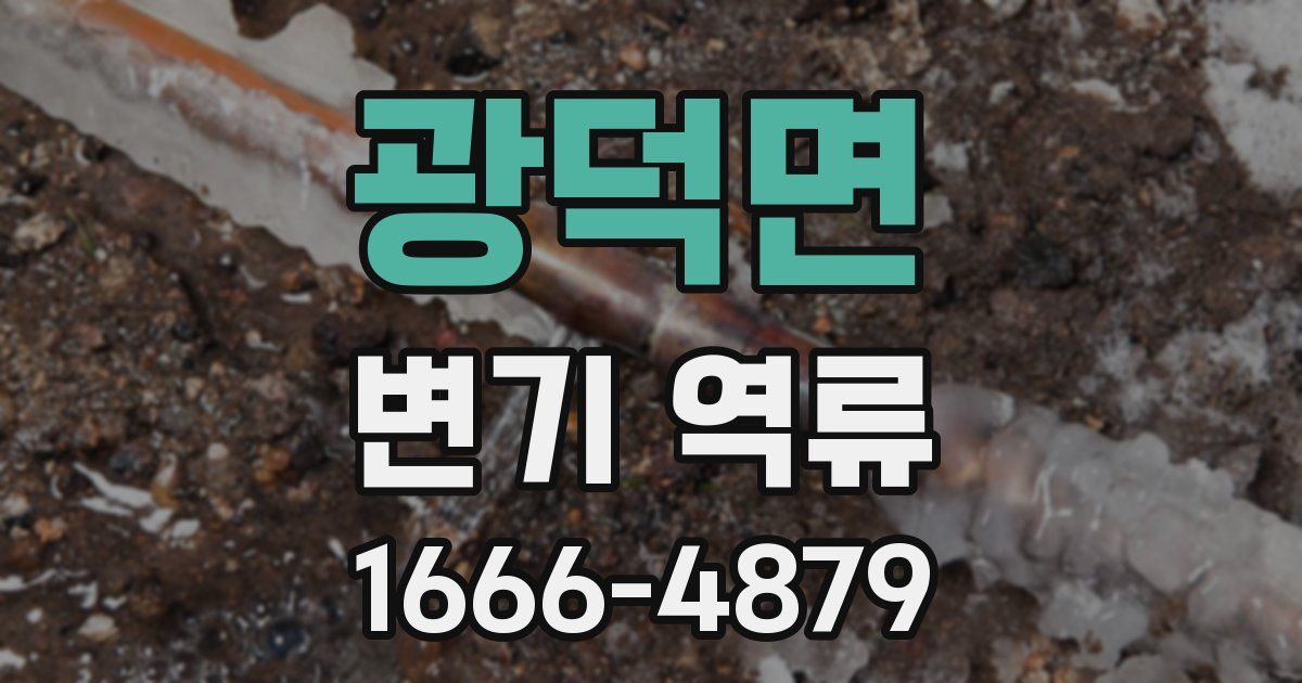 광덕면 변기 역류