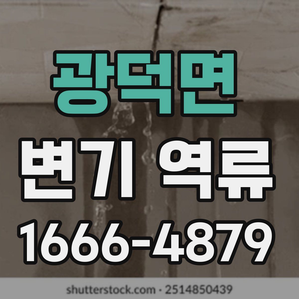 광덕면 변기 역류