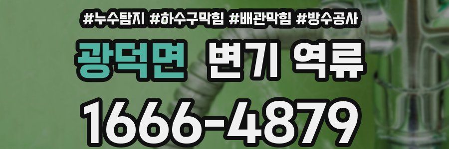 광덕면 변기 역류