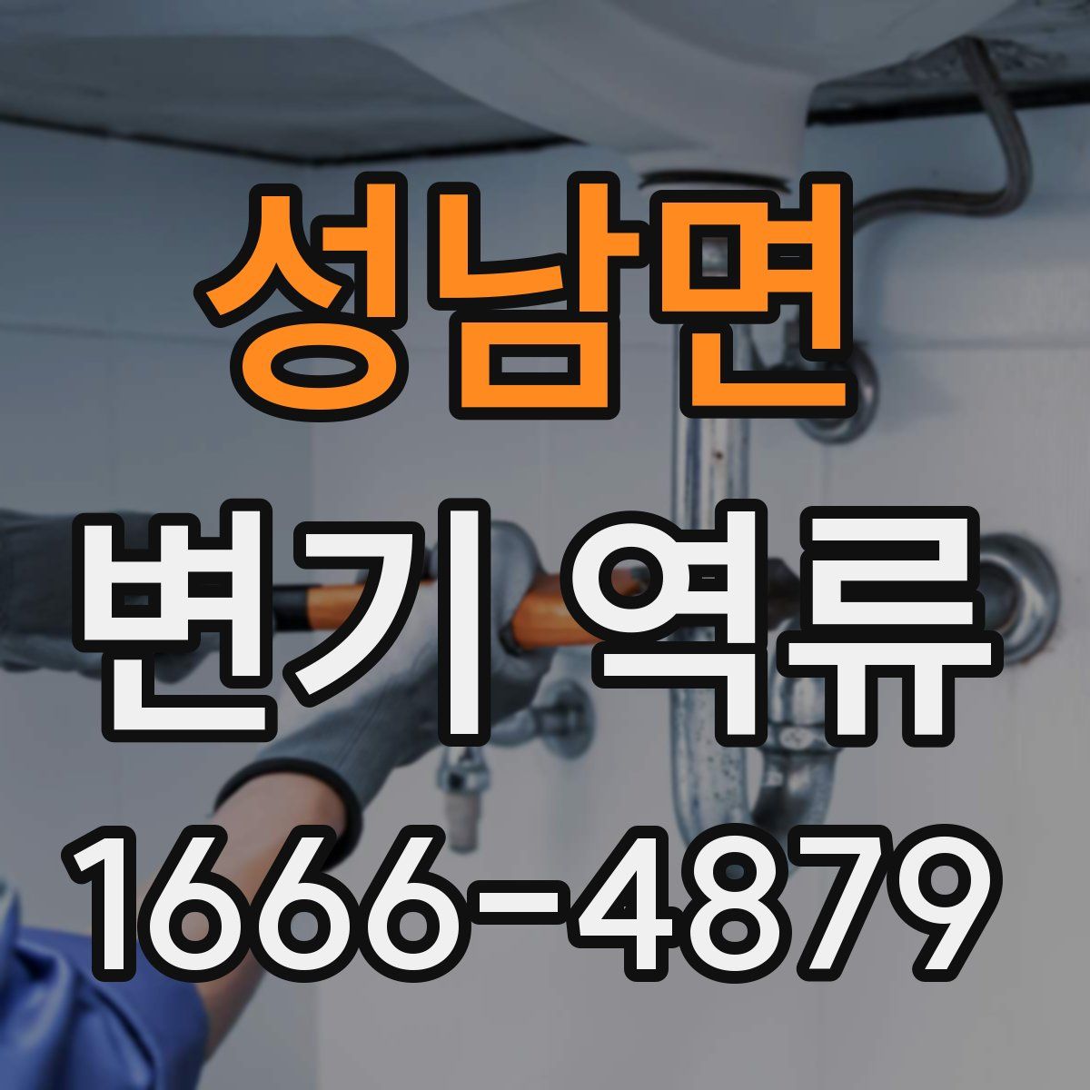 성남면 변기 역류