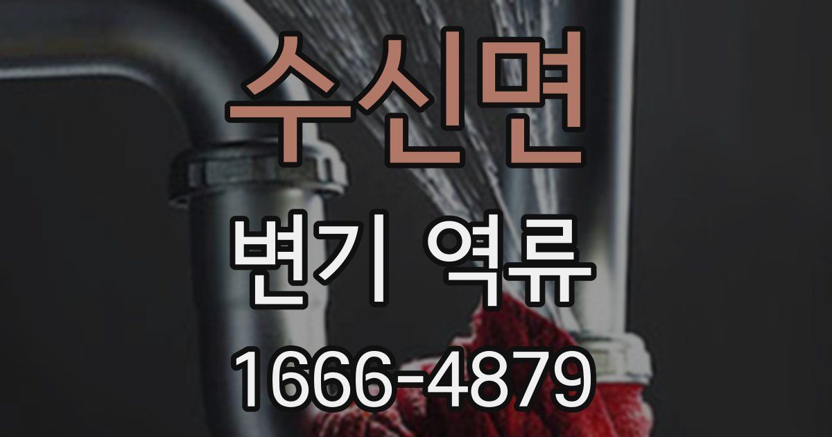 수신면 변기 역류
